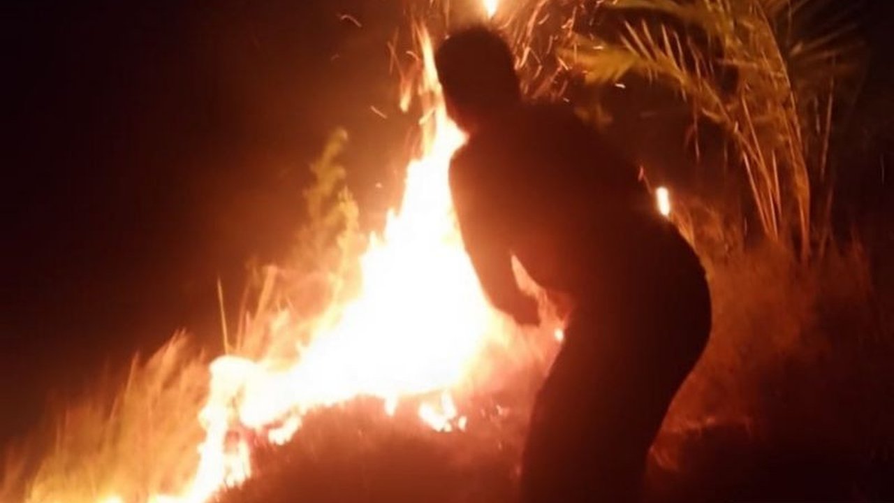 Sumatera Utara diterpa dua bencana alam bersamaan: karhutla di Padang Lawas Utara dan angin kencang di Deli Serdang. Bagaimana BNPB mengatasinya?