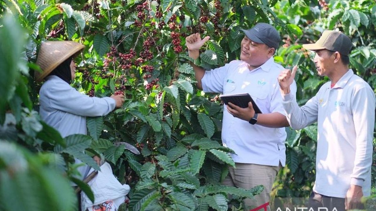 Dari warung kopi sederhana Sugeng di Banaran, terkuak bagaimana Perkebunan Kopi Banaran tak hanya menghasilkan komoditas, tapi juga menggerakkan roda ekonomi lokal dan mewariskan kemandirian.