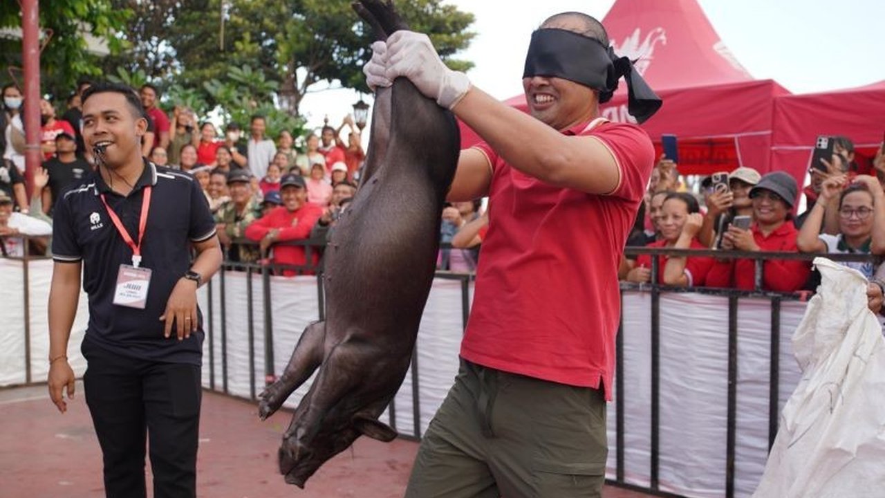 Pemerintah Kabupaten Gianyar Bali menyelenggarakan lomba tangkap anak babi sebagai bagian dari perayaan HUT RI ke-80. Ajang ini bertujuan mempererat kebersamaan.