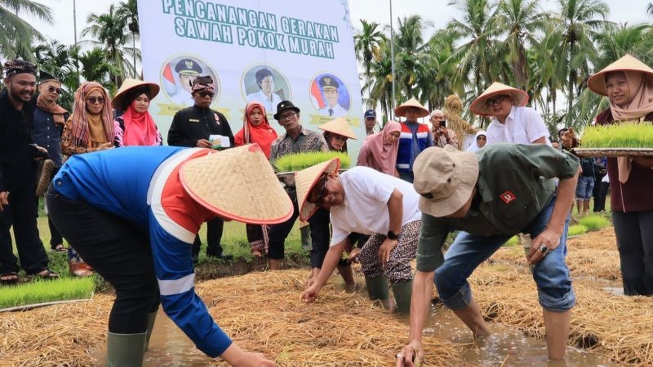 Pemerintah Padang Pariaman sukses menggelar Festival Tani Nagari, inisiatif unik tanpa APBD untuk memperkuat ketahanan pangan nasional melalui metode sawah pokok murah.