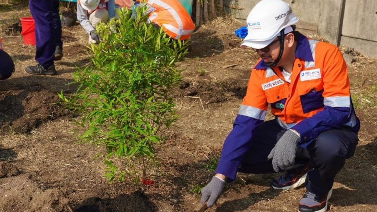 PT Terminal Petikemas Surabaya (TPS) gencar lakukan Penghijauan Terminal Petikemas Surabaya dengan menanam ribuan pohon. Bagaimana upaya ini berkontribusi pada emisi nol?