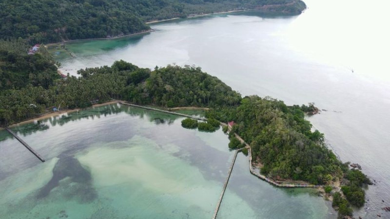 Desa Namu di Konawe Selatan serius mengembangkan wisata bahari berbasis konservasi laut. Simak bagaimana potensi bawah lautnya menarik perhatian dan masuk ADWI 2023.