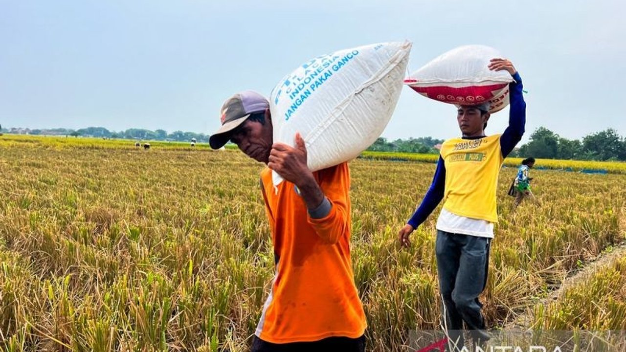 Kisah inspiratif petani dan buruh tani di Cirebon yang menggantungkan hidup pada bulir padi. Simak bagaimana Kesejahteraan Petani Padi meningkat berkat dukungan harga dan pemerintah.