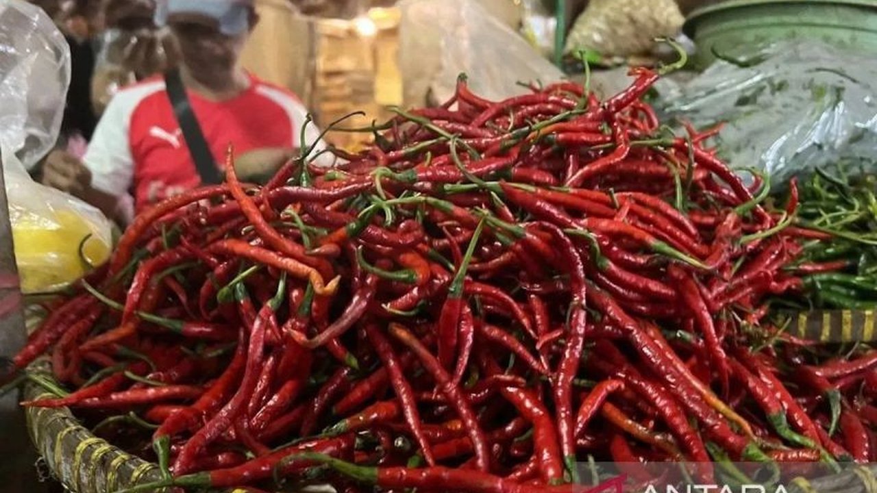 Badan Pangan Nasional (Bapanas) merilis data **harga pangan terkini** yang menunjukkan penurunan signifikan pada cabai rawit dan bawang merah. Simak daftar lengkap harga komoditas lainnya!