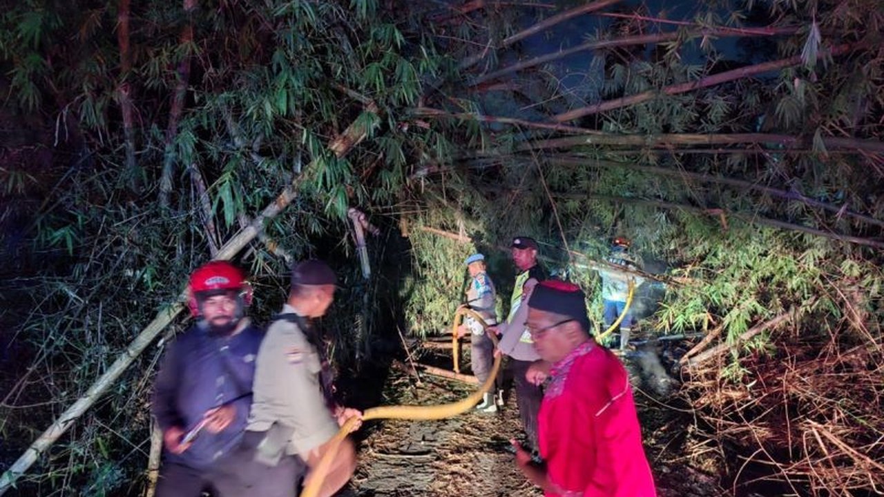 Damkarmat BPBD Bantul berhasil memadamkan kebakaran lahan bambu di Piyungan, Bantul. Insiden ini sempat menutup akses jalan, namun tidak ada korban jiwa dan penyebabnya diduga kesengajaan.
