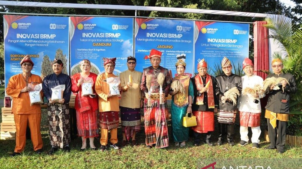 Dalam rangka HUT ke-80 RI, Badan Perakitan dan Modernisasi Pertanian (BRMP) meluncurkan delapan varietas unggul baru guna memperkuat ketahanan pangan nasional. Simak detail inovasi revolusioner ini!