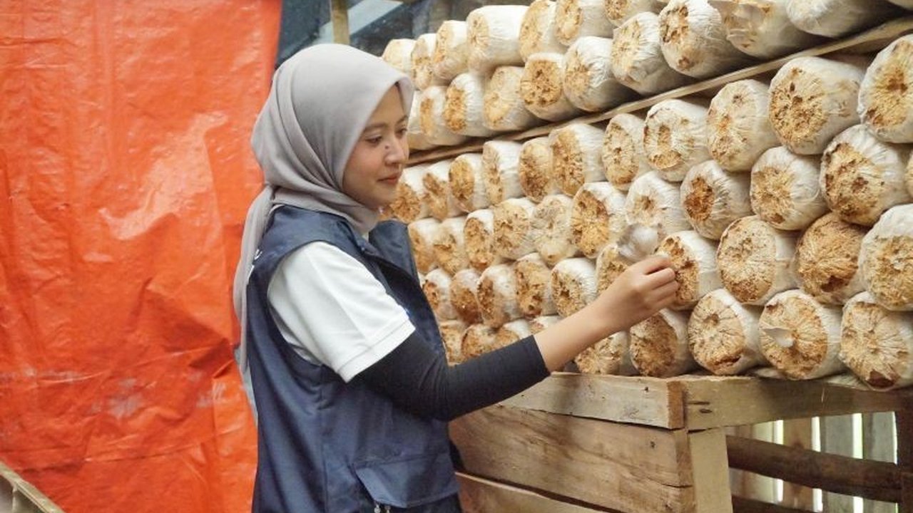 PT Danareksa (Persero) dorong ekonomi desa Medanglayang, Ciamis, melalui integrasi agrikultur dan pariwisata berkelanjutan. Simak bagaimana program ini memberdayakan masyarakat lokal.