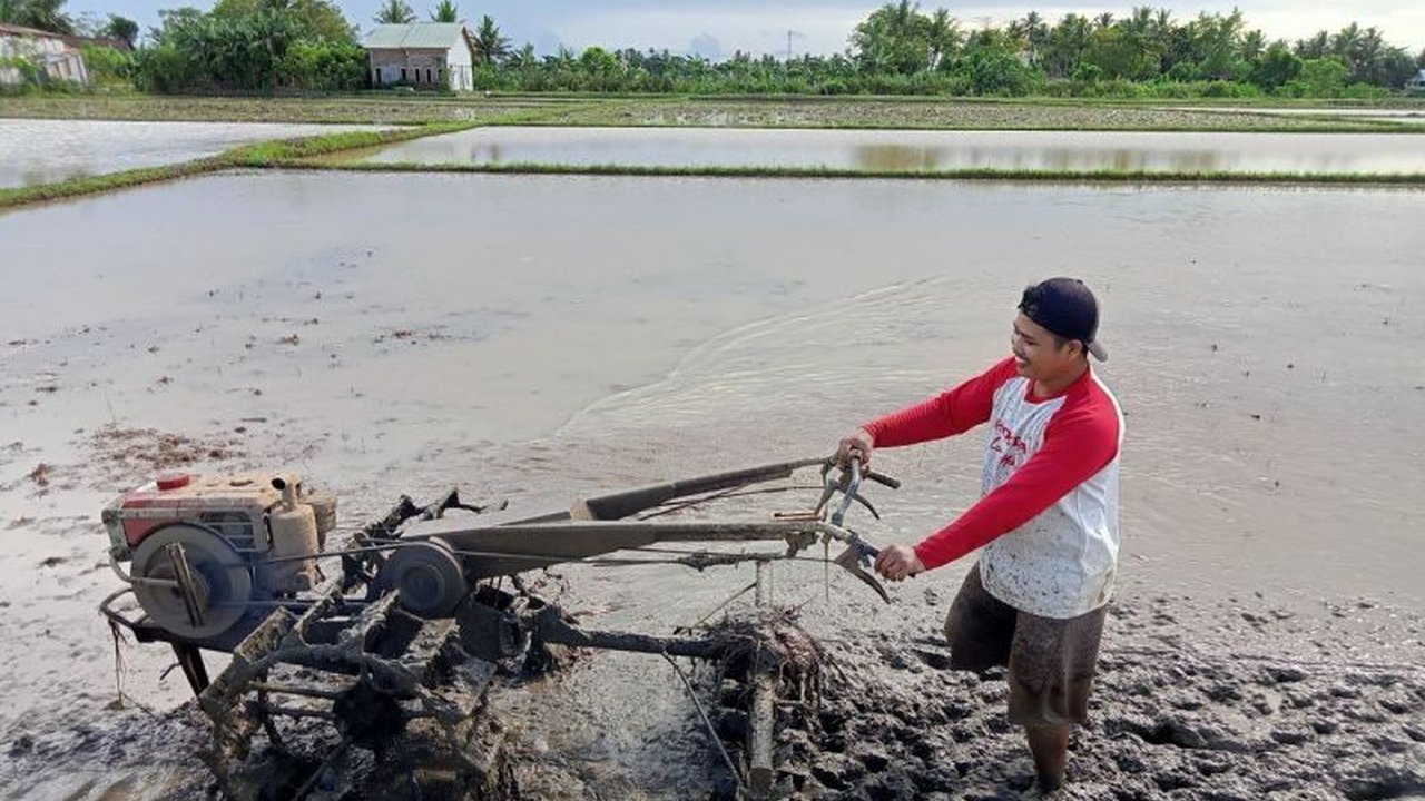 Bagi masyarakat akar rumput, makna kemerdekaan jauh melampaui seremoni. Simak bagaimana mereka merayakan dan memaknai kebebasan dalam keseharian, dari Makassar hingga pelosok negeri.