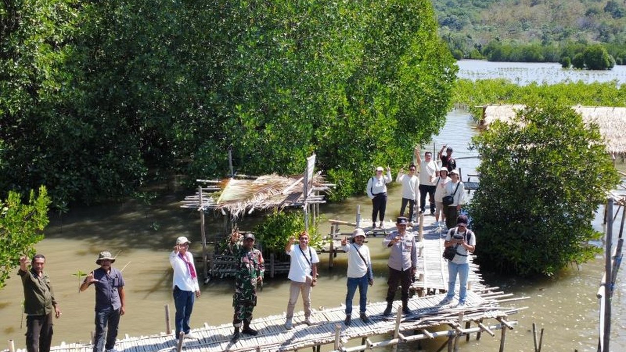 MPMX bersama MPM Honda sukses menanam 100.000 bibit mangrove di Manggarai Barat, NTT, wujudkan ekowisata mangrove berkelanjutan dan pemberdayaan ekonomi lokal.
