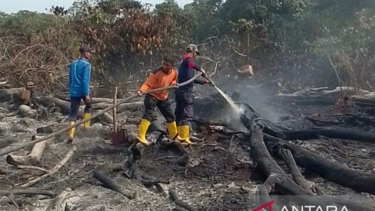 BPBD Aceh Barat mengerahkan tim gabungan untuk memadamkan Karhutla seluas satu hektare di Desa Peulanteu, Bubon. Simak detail upaya penanganan dan tantangannya.