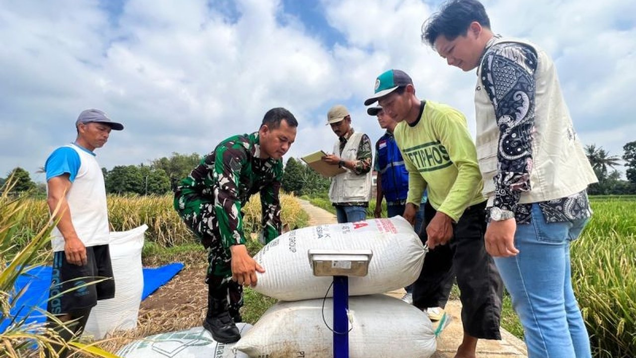 Pemerintah tegaskan komitmen kebijakan pro petani melalui penyesuaian harga gabah dan akses pupuk. Simak bagaimana petani merasakan dampak positifnya!