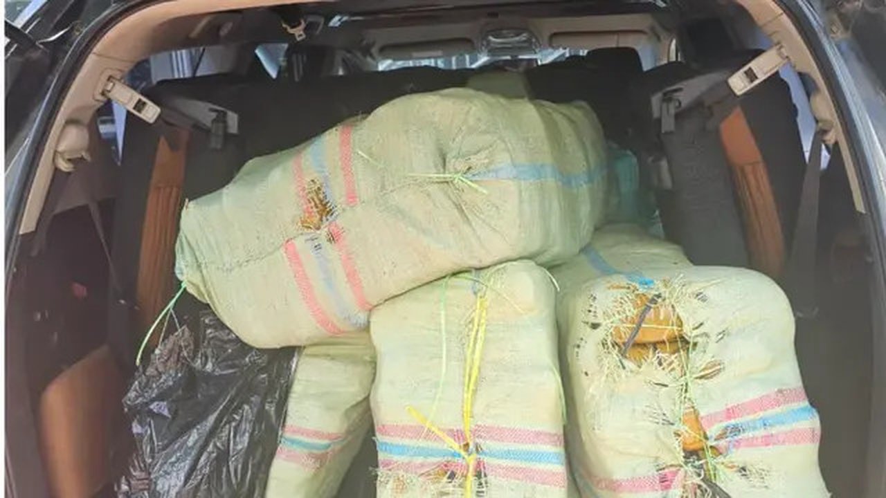 Barang bukti narkotika jenis ganja seberat 200 kilogram yang hendak diselundupkan dari Gayo menuju Medan. (Dok: BNNP Sumut)