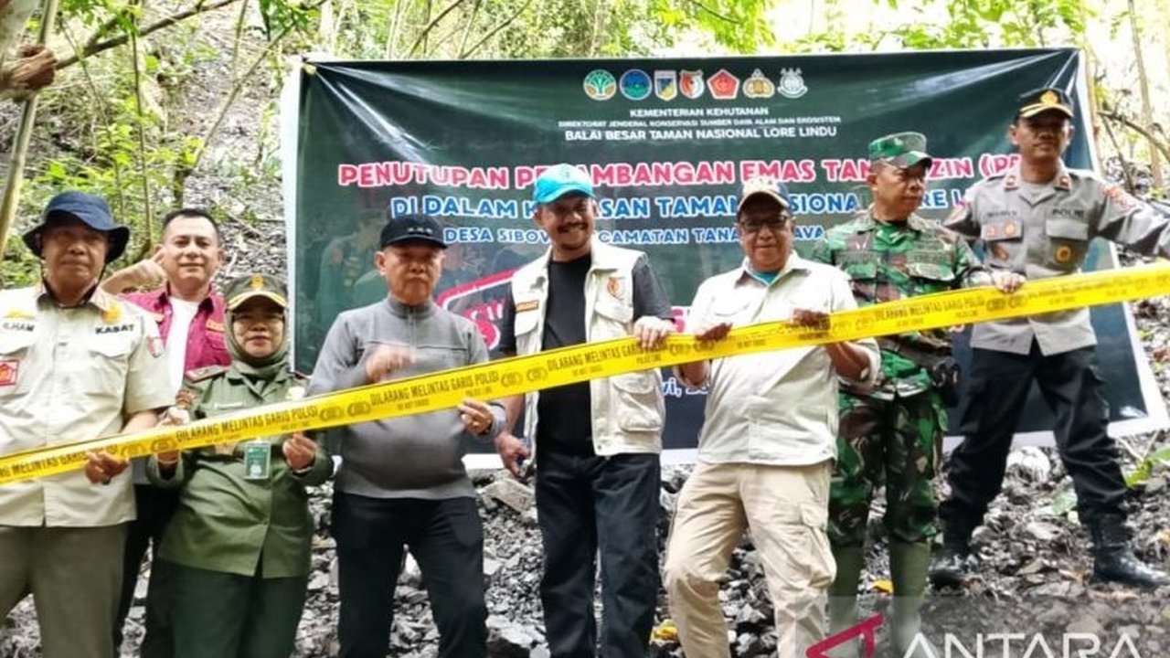 BBTNLL bersama Pemkab Sigi berhasil menutup aktivitas PETI Lore Lindu di Desa Sibowi. Penasaran bagaimana lokasi tambang ilegal ini beroperasi di ketinggian terjal?