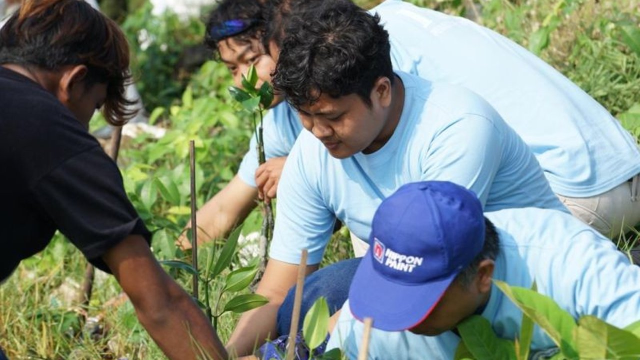 Pelindo tegaskan komitmen besar dalam program restorasi Pelindo Mangrove, menargetkan pemulihan 100 hektare ekosistem. Apa dampak positifnya bagi lingkungan dan masyarakat pesisir?
