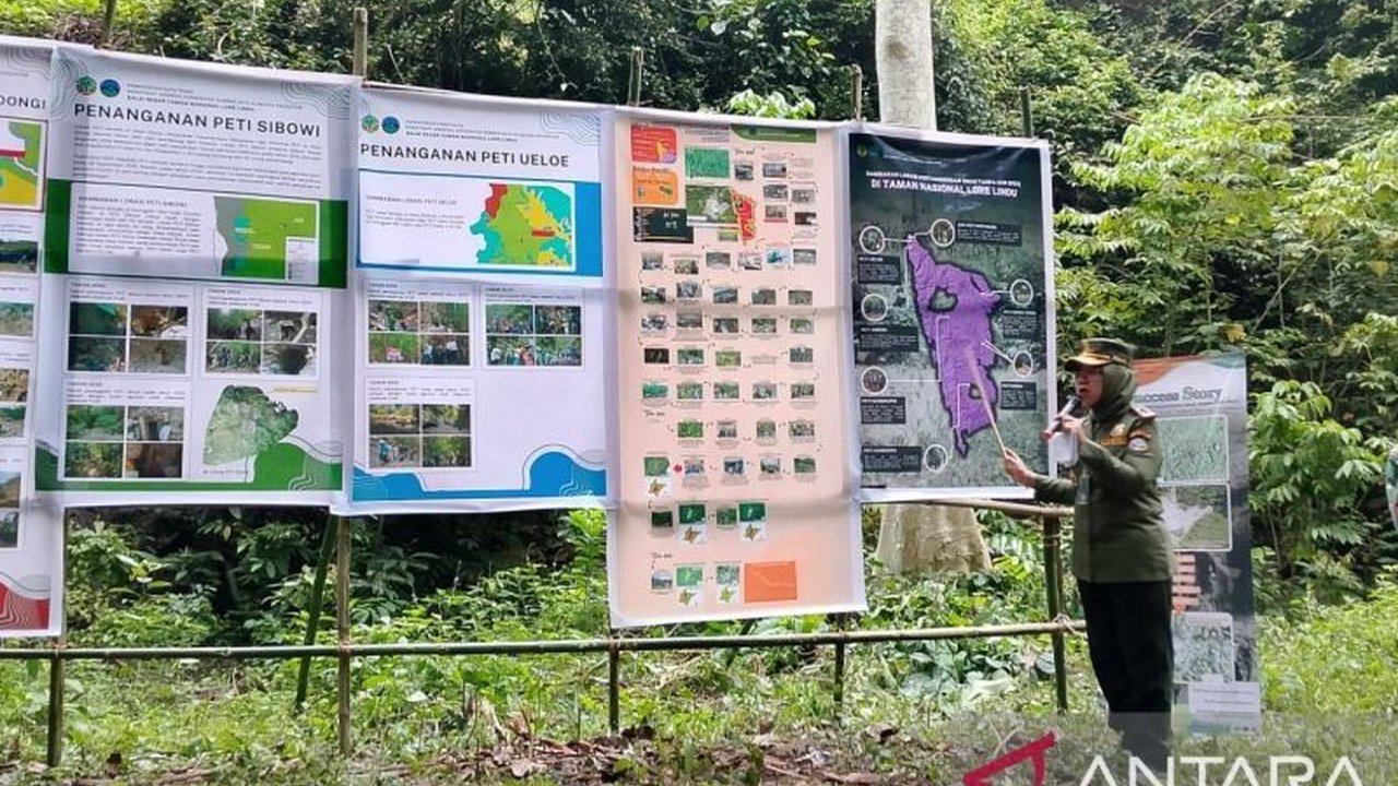 Balai Besar Taman Nasional Lore Lindu (BBTNLL) berhasil menutup sebagian besar lokasi tambang ilegal Lore Lindu, memicu kembalinya satwa endemik Macaca ke habitatnya.
