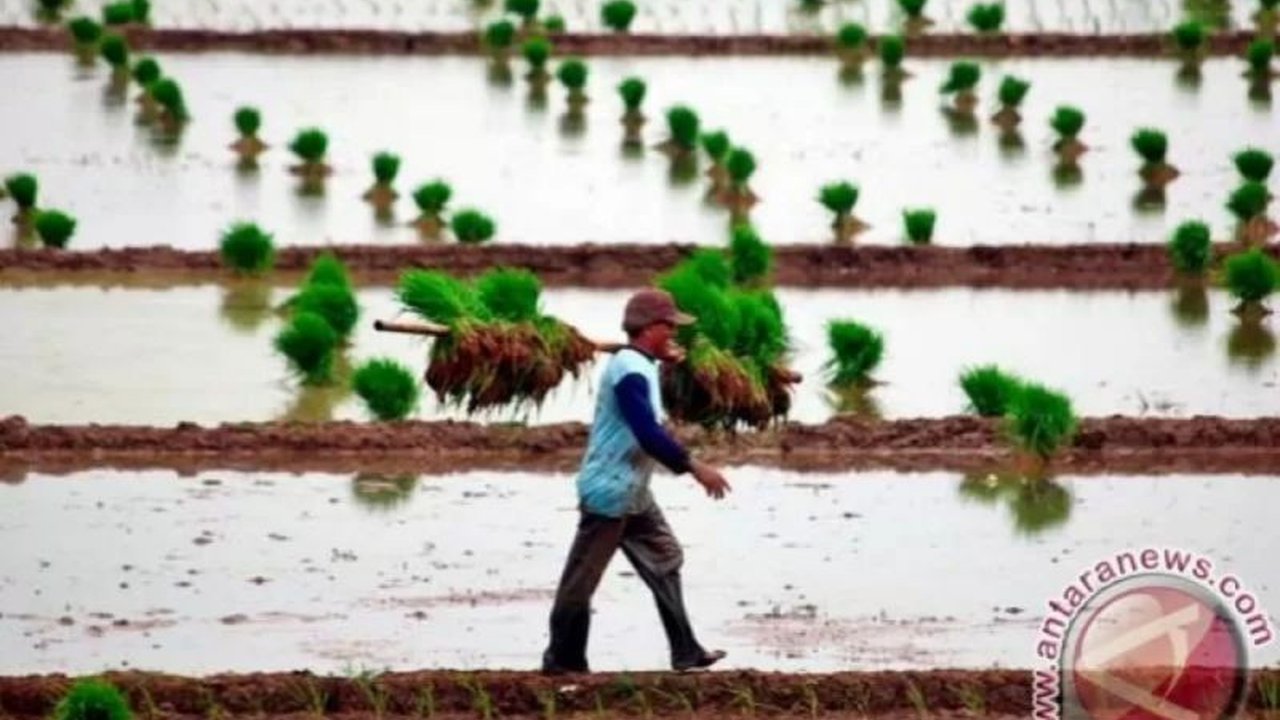 Gubernur DIY, Sri Sultan Hamengku Buwono X, mengusulkan pembangunan lima embung irigasi DIY untuk mengatasi krisis air pertanian. Akankah solusi ini terwujud?