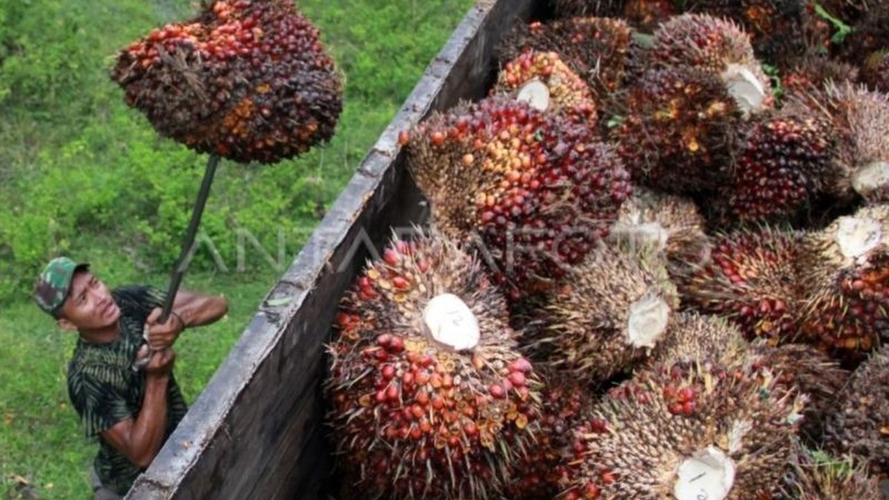 Pemprov Sumut serius memastikan Penerima Bantuan Iuran Jamsostek Sumut benar-benar tepat sasaran demi melindungi pekerja rentan dan menekan angka kemiskinan. Siapa saja yang berhak?
