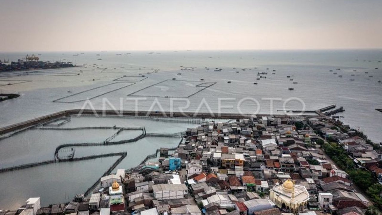 Apindo mendesak pelibatan pengusaha sejak dini dalam Proyek Giant Sea Wall. Mengapa partisipasi mereka krusial untuk masa depan industri dan ekonomi Pantura?