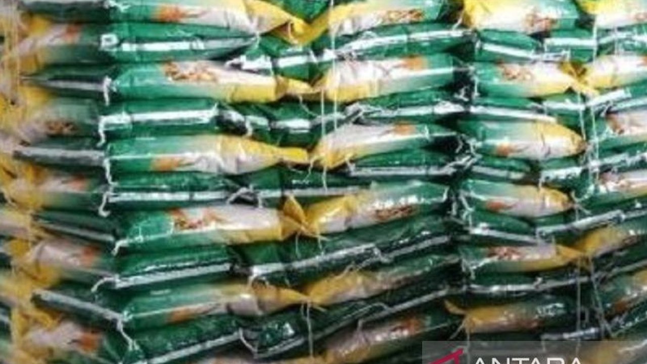 Pemerintah Provinsi Kepulauan Bangka Belitung memastikan Stok Beras Babel mencukupi dan harga tetap stabil. Simak strategi jitu menjaga ketahanan pangan daerah!