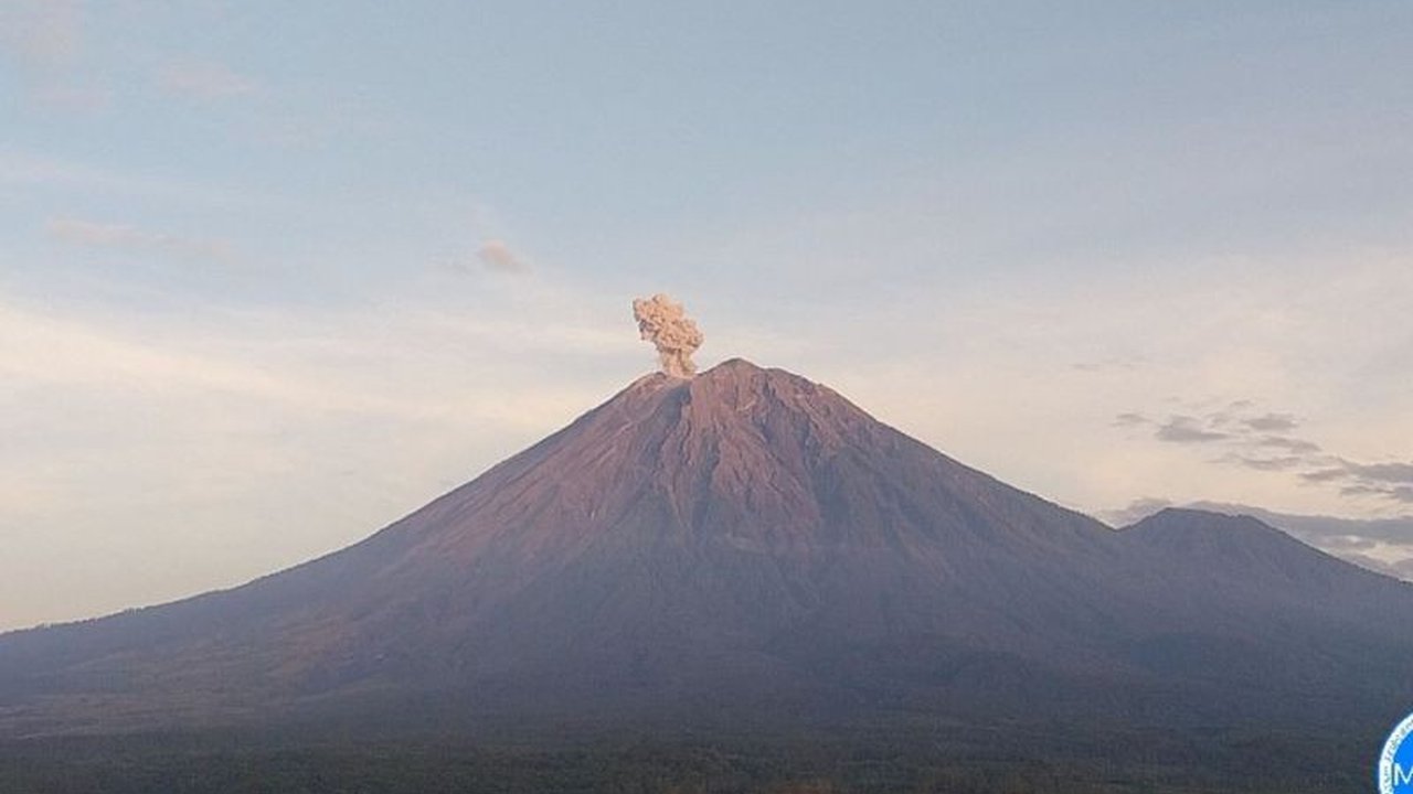 Gunung Semeru Erupsi tiga kali pada Minggu, 31 Agustus, dengan tinggi letusan mencapai 900 meter. Simak detail erupsi dan status waspada gunung tertinggi di Pulau Jawa ini.