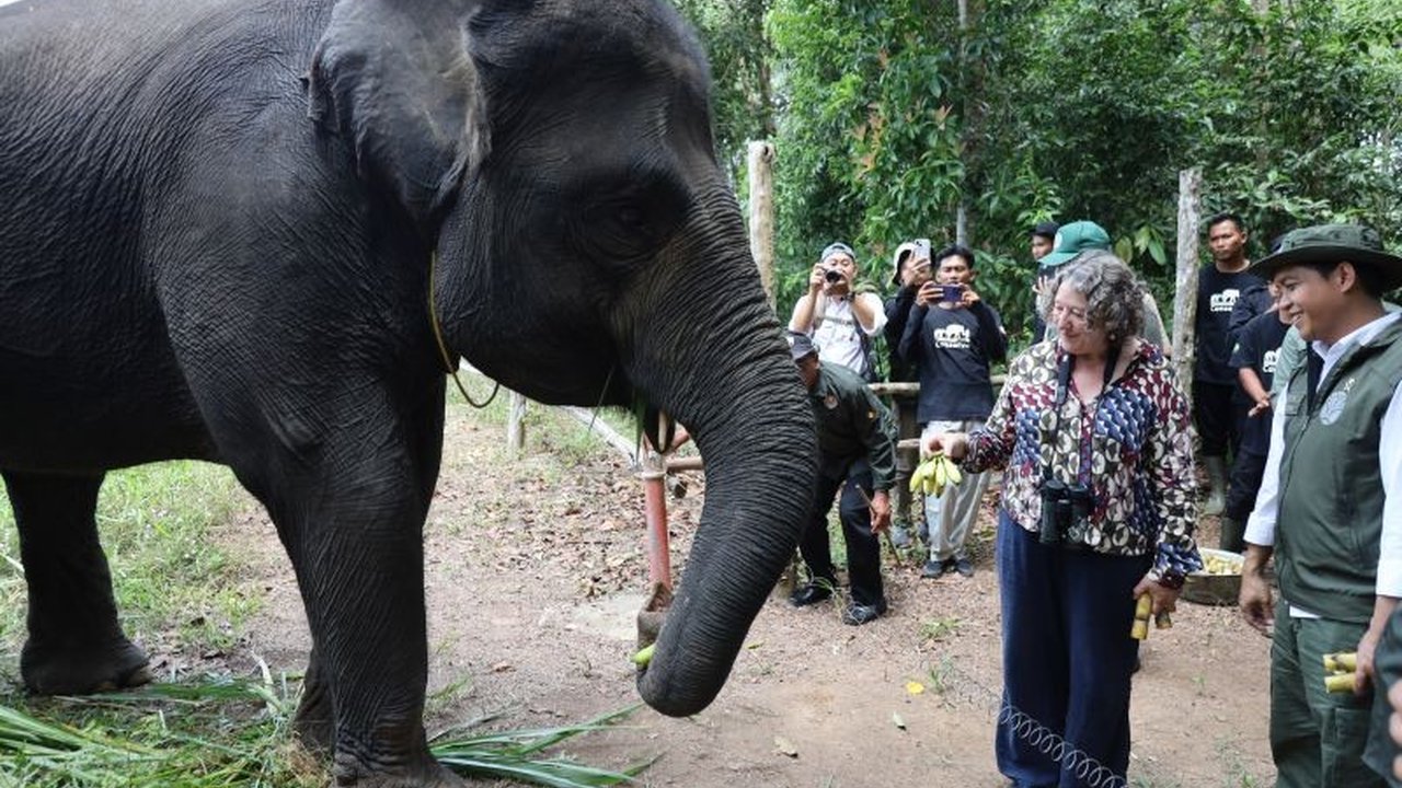 Indonesia dan Inggris memperdalam Kerja Sama Lingkungan RI-Inggris melalui peluncuran tiga program inovatif. Inisiatif ini bertujuan melestarikan alam, iklim, dan meningkatkan kesejahteraan masyarakat. Simak detailnya!