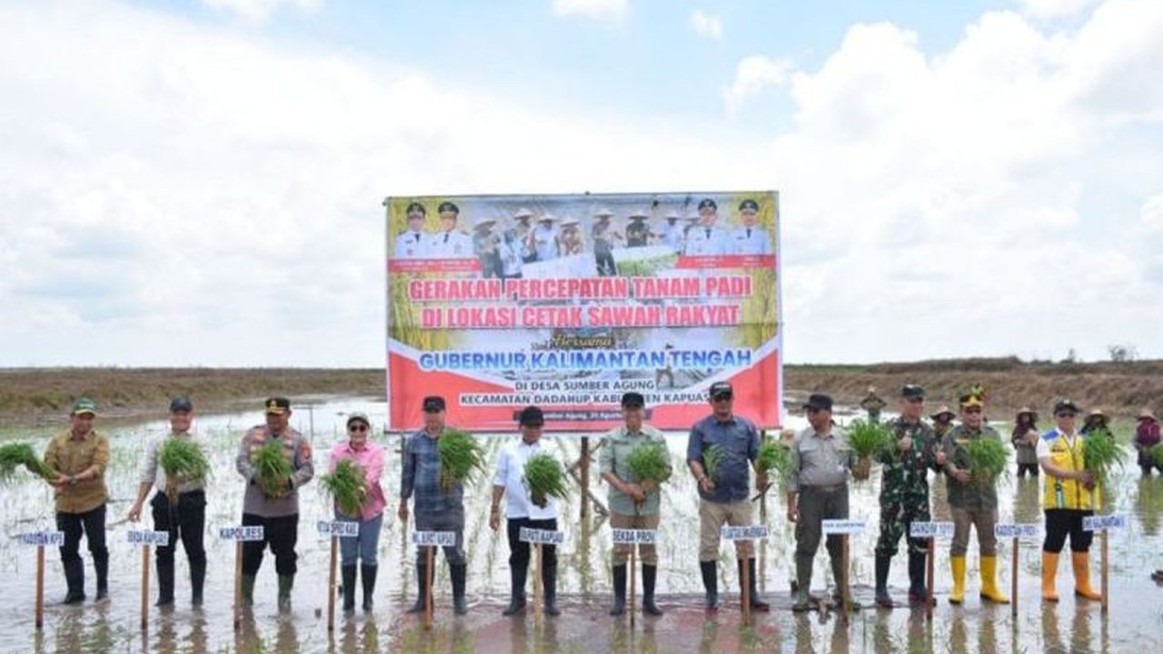 Pemerintah Kabupaten Kapuas mengoptimalkan Gerakan Percepatan Tanam Padi untuk swasembada pangan Kalteng. Simak bagaimana upaya ini bisa menghasilkan panen luar biasa!