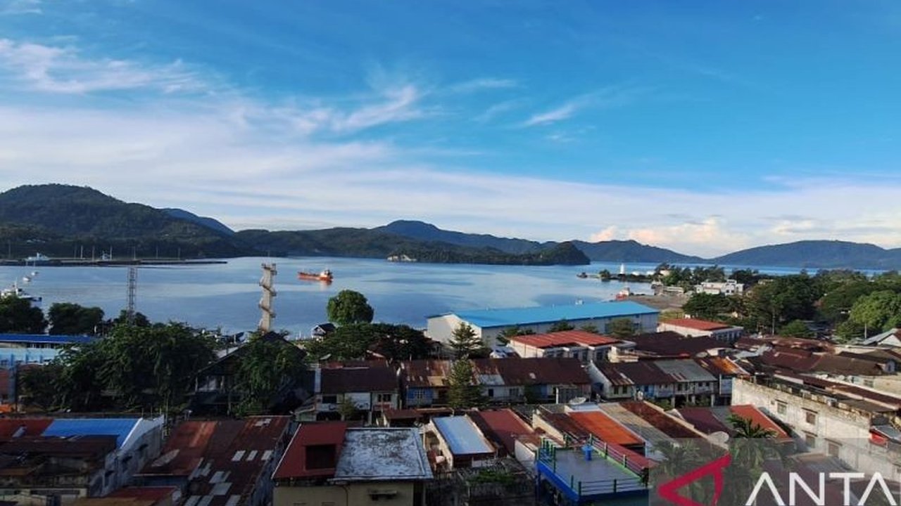 Neraca Perdagangan Aceh mencatat surplus signifikan USD 9,14 juta pada Juli 2025. Penasaran komoditas apa yang jadi pendorong utama dan negara mitra dagang terbesarnya?