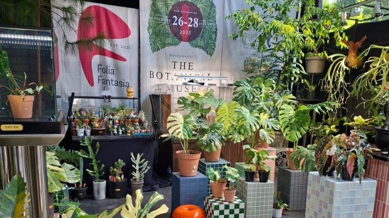 Pameran Variegata dan Kita 2025 sukses mempertemukan ribuan pencinta tanaman hias, menjadi ajang konsolidasi komunitas dan pameran langka. Ada apa saja di sana?