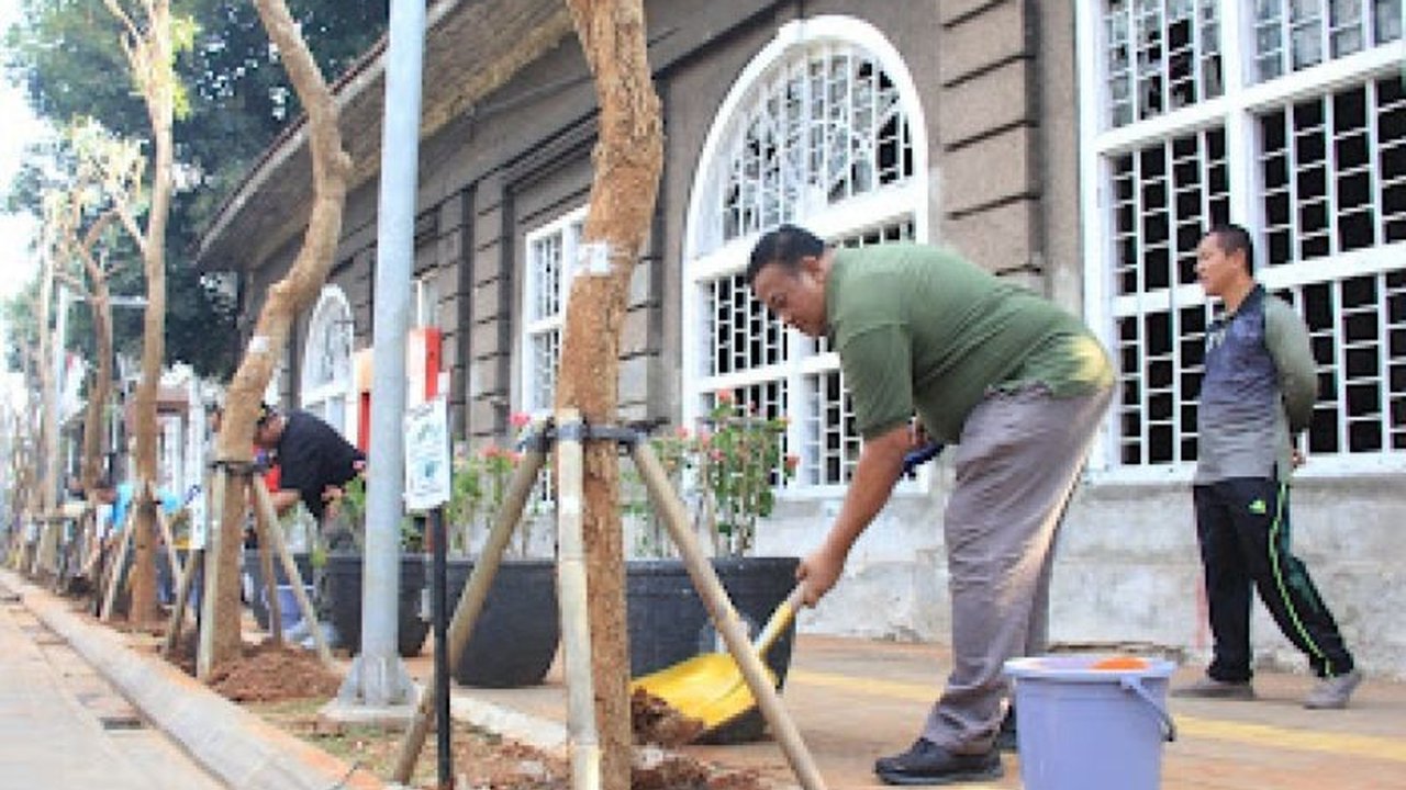Suku Dinas Pertamanan dan Hutan Kota Jakarta Barat telah menanam ratusan ribu tanaman hias dan pohon pelindung. Simak bagaimana program Penghijauan Jakarta Barat ini mengurangi dampak perubahan iklim.