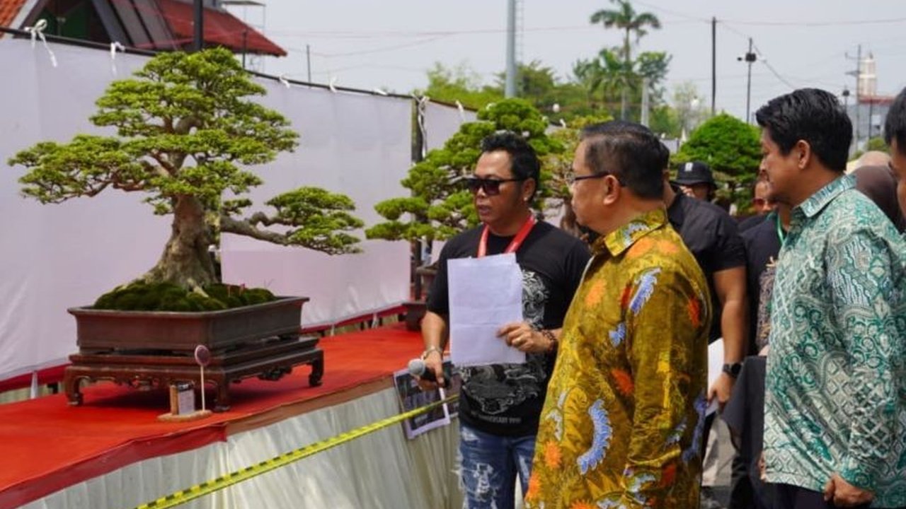Pameran Bonsai Pati, Java Master 2025, resmi dibuka di Pati. Bupati Sudewo berharap ajang ini tak hanya memperkenalkan seni bonsai, tapi juga menggerakkan roda ekonomi kreatif daerah.