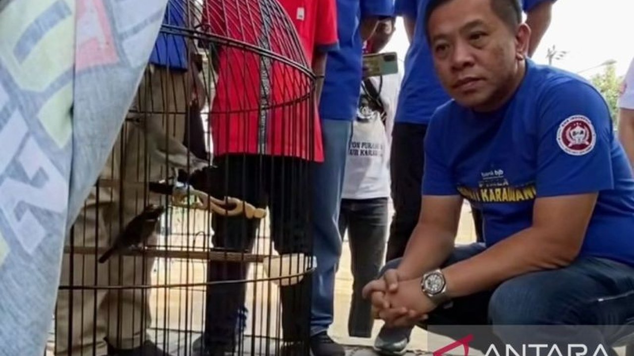 Ratusan kicau mania dari berbagai daerah ramaikan Festival Lomba Burung Berkicau Karawang. Ajang prestisius ini bukan hanya kompetisi, tapi juga wadah silaturahmi dan promosi daerah. Penasaran keseruannya?