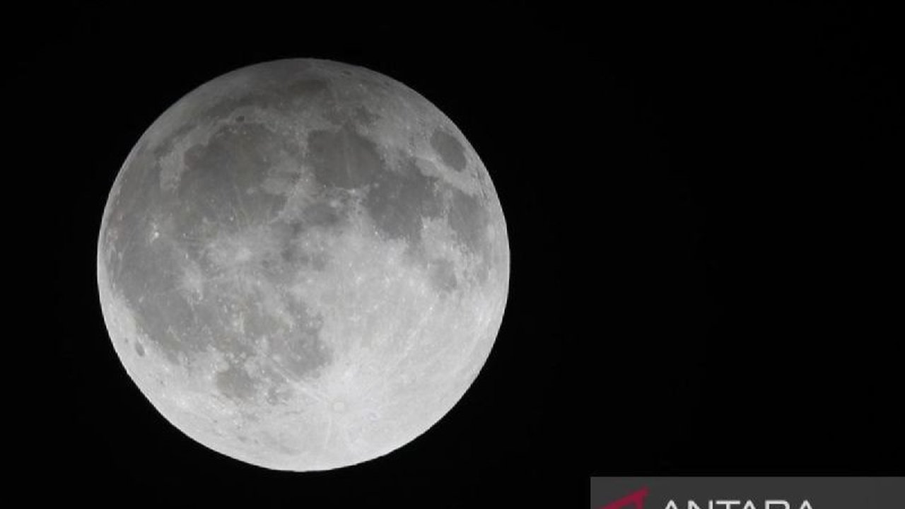 Fenomena 'Corn Moon' atau purnama jagung pada September 2025 berpotensi memicu banjir rob di pesisir NTB. Ketahui wilayah terdampak dan waktu pasang maksimumnya!