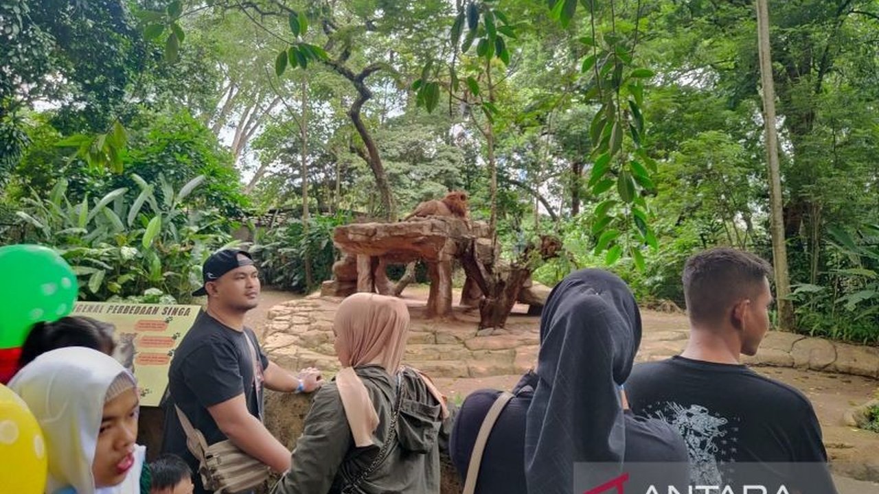 Sengkarut pengelolaan Bandung Zoo semakin rumit! Gugatan Bandung Zoo dilayangkan 8 orang, termasuk guru besar Unpad dan terdakwa korupsi. Apa motif di balik gugatan ini?
