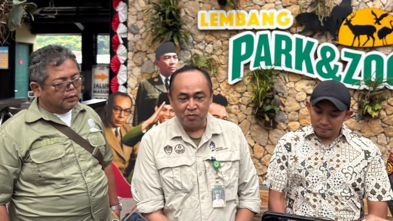 Pencarian macan tutul kabur dari Lembang Park and Zoo diperluas hingga kaki Gunung Tangkuban Parahu. Mengapa satwa ini bisa melarikan diri dan seberapa jauh daya jelajahnya?