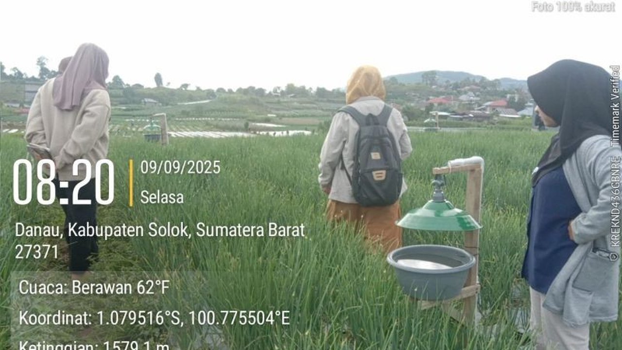 Terkenal sebagai 'Lembah Tengkorak' karena penggunaan kimia berlebih, kini petani bawang di Solok mulai beralih ke Pertanian Ramah Lingkungan. Akankah ini jadi solusi berkelanjutan?