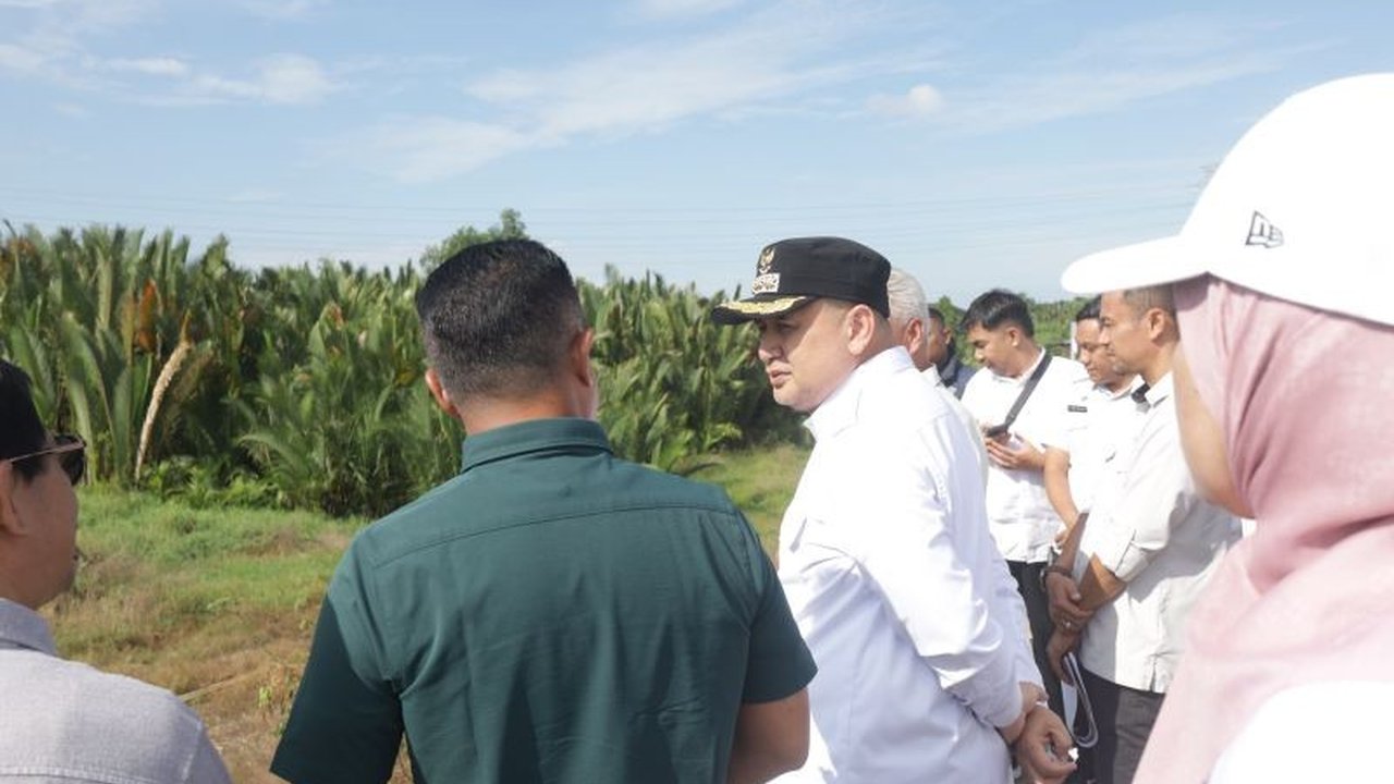 Pemerintah Kota Makassar dan Kalla Group berkolaborasi membangun jalan alternatif baru di kawasan Baruga Antang, Manggala, untuk mengurai kemacetan parah di wilayah timur kota. Akankah solusi ini efektif?