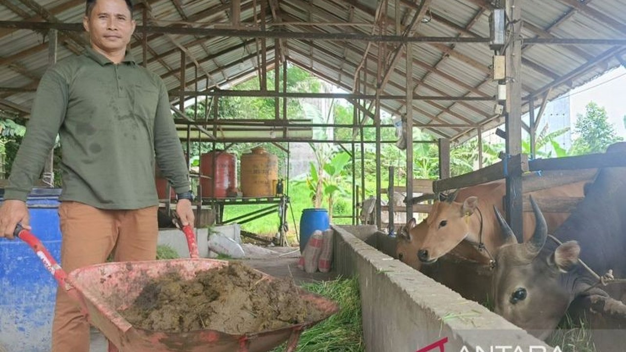 Warga Samboja, Kutai Kartanegara, berhasil mengubah limbah ternak menjadi sumber energi bersih. Temukan bagaimana Biogas Kotoran Sapi Samboja menjadi solusi mandiri energi rumah tangga!