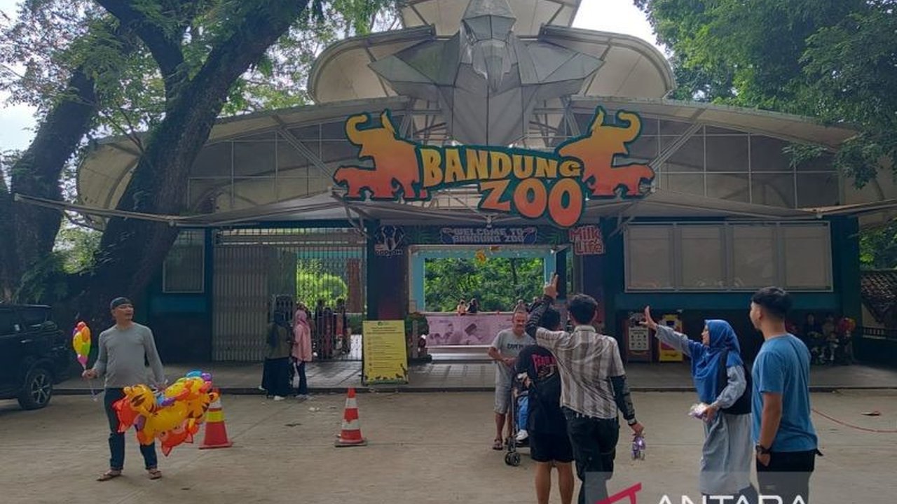 Enam penggugat, termasuk terdakwa kasus Korupsi Bandung Zoo, secara mengejutkan mencabut gugatan terhadap Wali Kota Bandung. Apa alasan di balik keputusan penting ini?