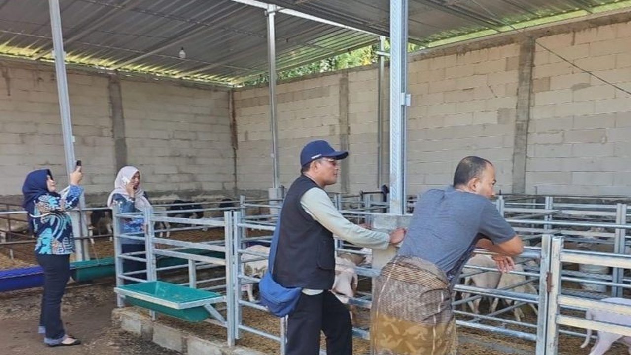 Pemkab Probolinggo dan Dinas Peternakan Jatim perketat pengawasan ternak impor Australia di PT Tombak Mas Nusantara. Ini krusial cegah penyakit dan pastikan kesehatan hewan impor yang didistribusikan lintas daerah.