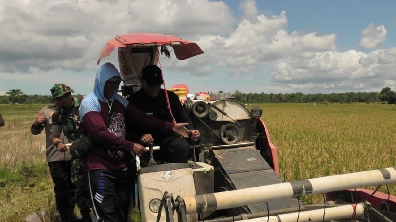 Pemerintah Kabupaten Pasaman Barat mencatat luas tanam padi sawah mencapai 8.794 hektare hingga Agustus 2025. Akankah target 20 ribu hektare tercapai?