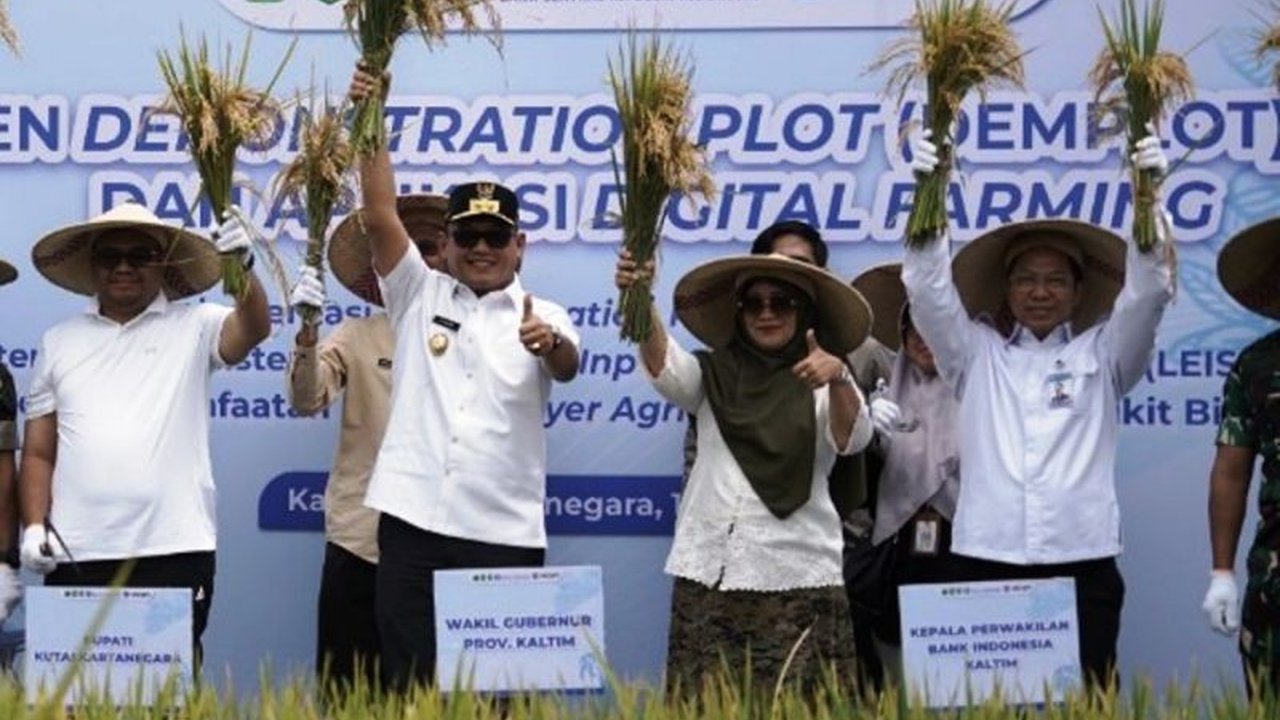 Uji coba Sistem LEISA Kukar berhasil meningkatkan produktivitas panen padi signifikan, dari 3,6 ton menjadi 6,2 ton per hektare. Simak dampaknya pada ketahanan pangan!