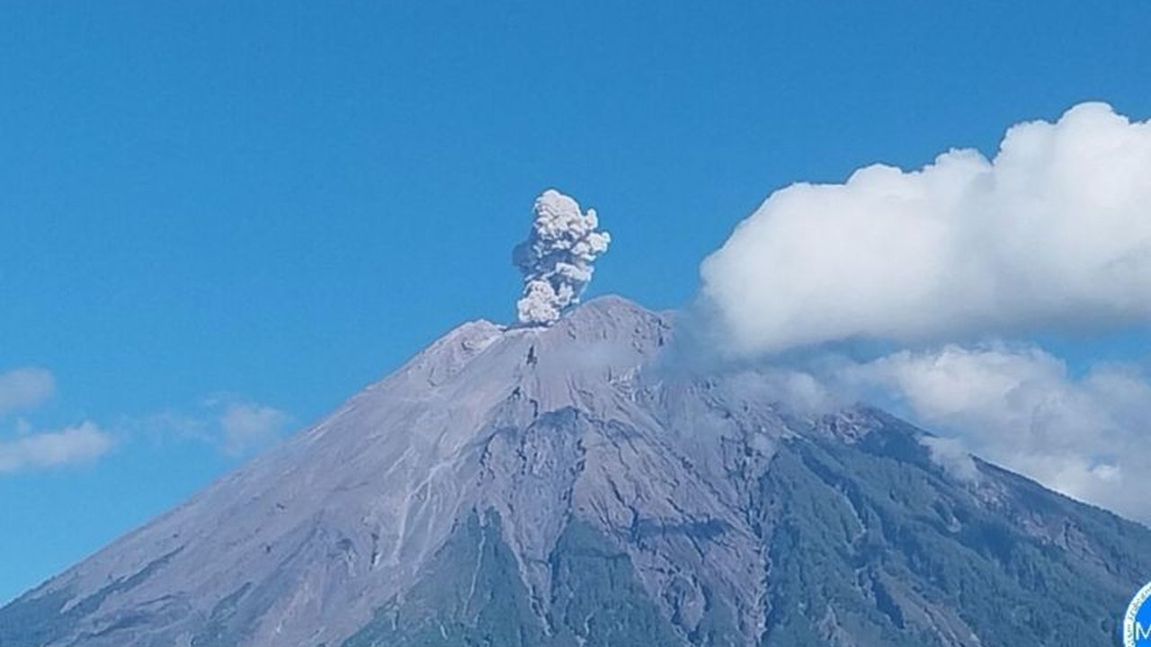 Gunung Semeru di Lumajang alami empat kali erupsi pada Minggu pagi, dengan kolom abu setinggi 800 meter. Simak detail status Waspada dan rekomendasi PVMBG terkait Erupsi Gunung Semeru.