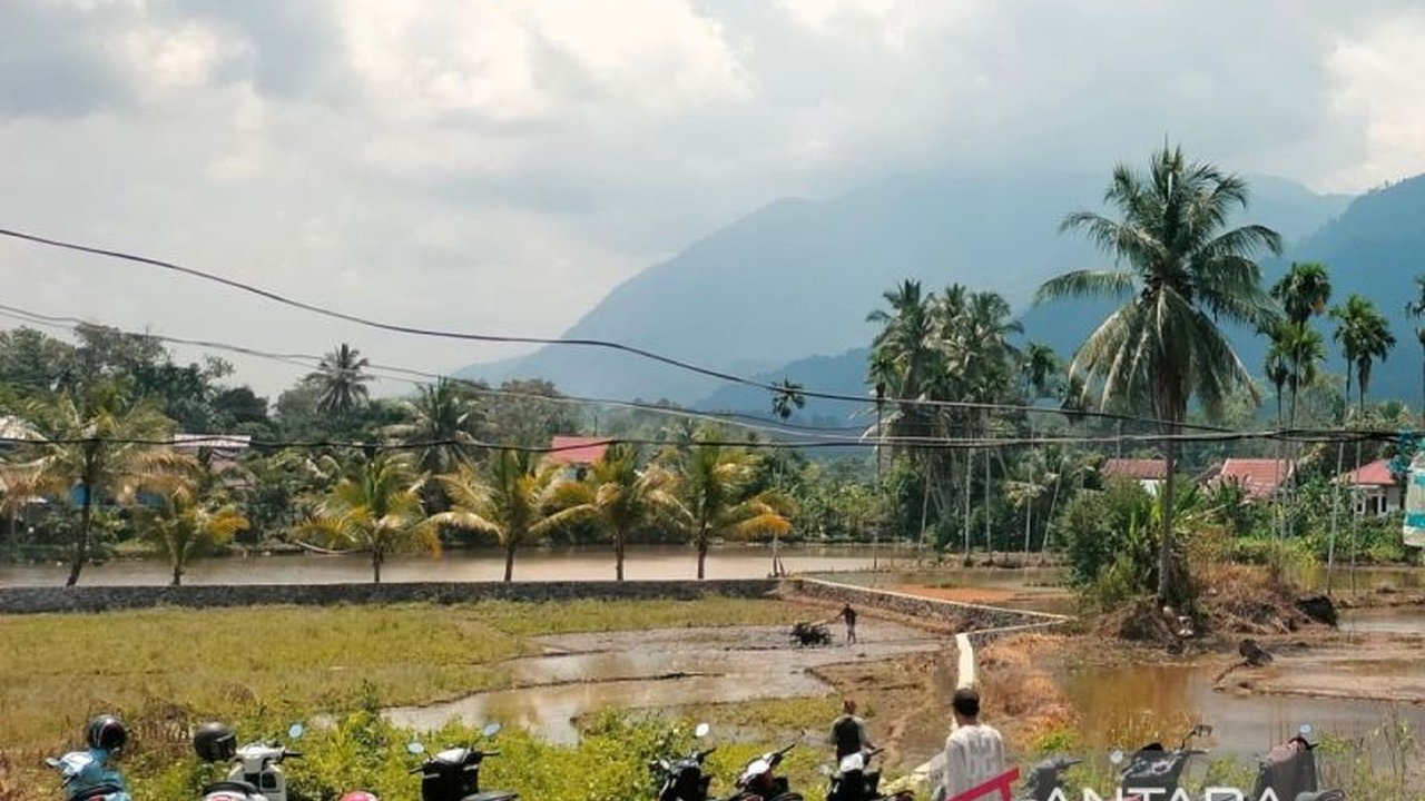 Perum Bulog Cabang Rejang Lebong kian dekat dengan target 1.000 ton penyerapan beras petani hingga akhir 2025. Sudah 81,1% tercapai, bagaimana strategi Bulog selanjutnya?