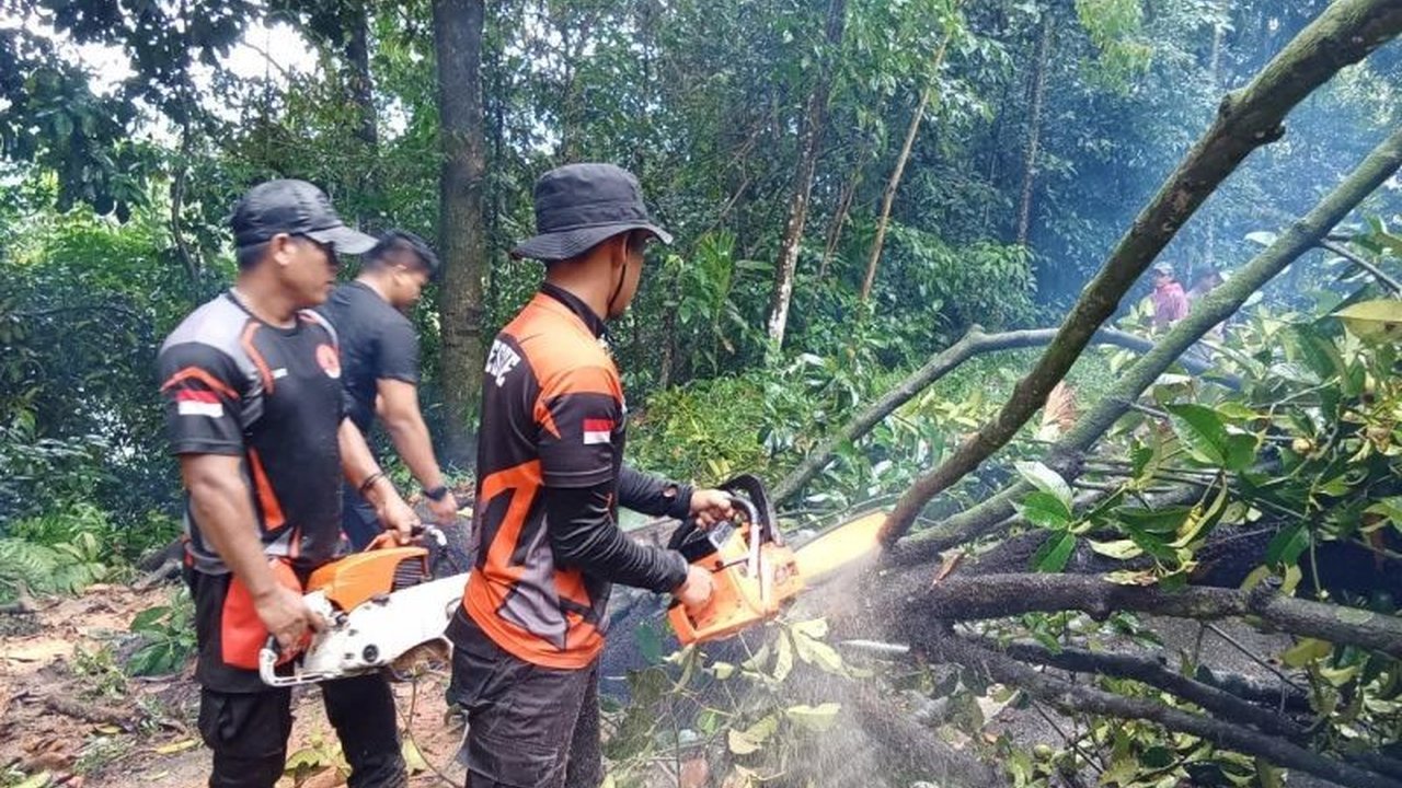 BPBD Padang Pariaman tingkatkan kesiapsiagaan bencana menghadapi cuaca ekstrem yang diprediksi BMKG hingga 18 September. Apa saja langkah antisipasi yang diambil untuk melindungi warga?