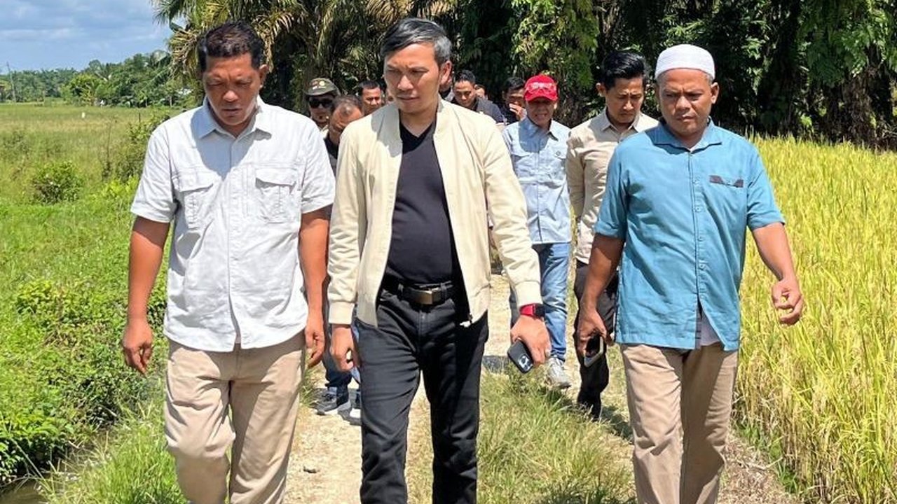 Anggota DPR RI Edi Purwanto mendesak pemerintah segera menuntaskan ribuan kasus masalah lahan transmigrasi, termasuk di Gambut Jaya, yang dinilai berlarut-larut dan merugikan masyarakat.