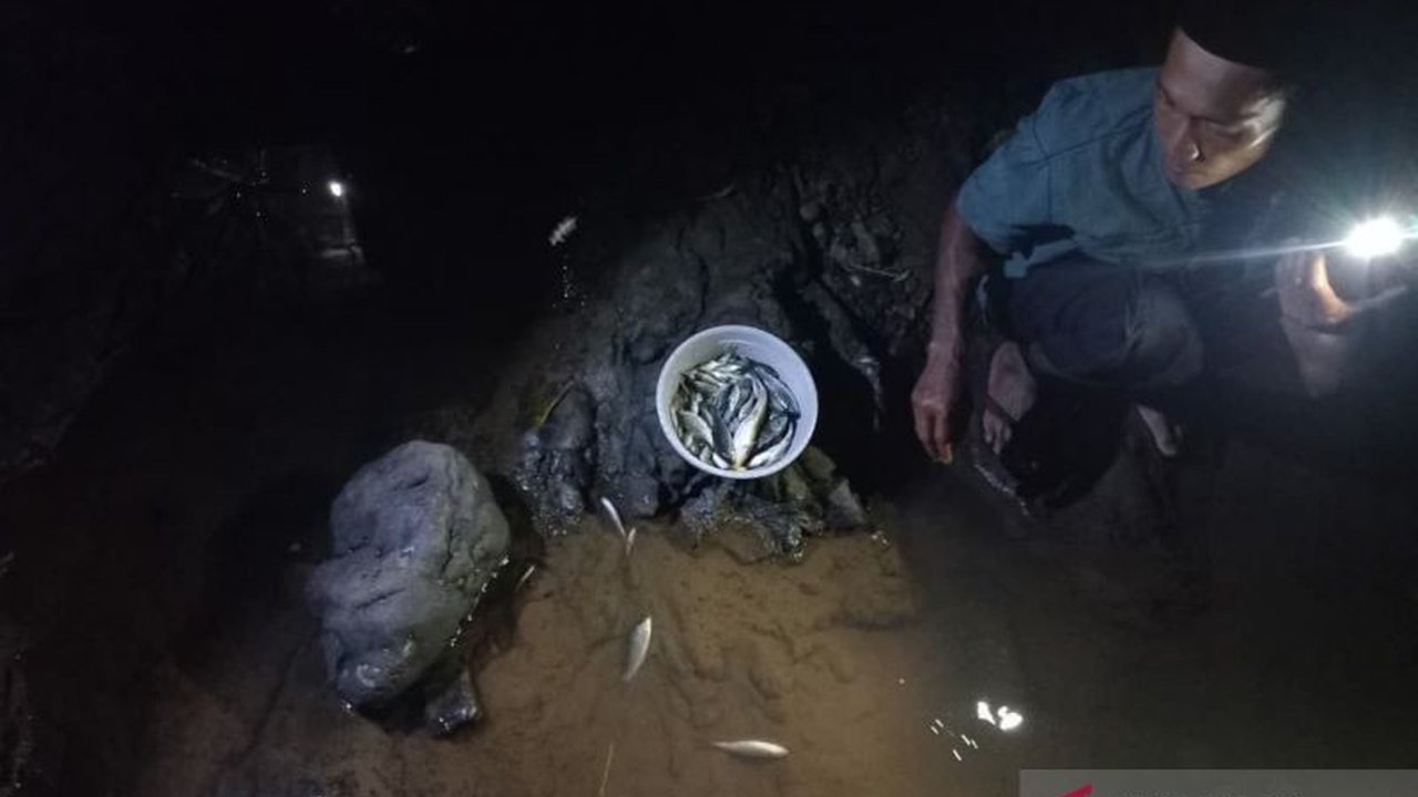 Dinas Lingkungan Hidup (DLH) Tasikmalaya memantau serius dampak TPA Ciangir setelah keluhan warga soal pencemaran air sungai dan kematian ikan. Apa tindakan selanjutnya?