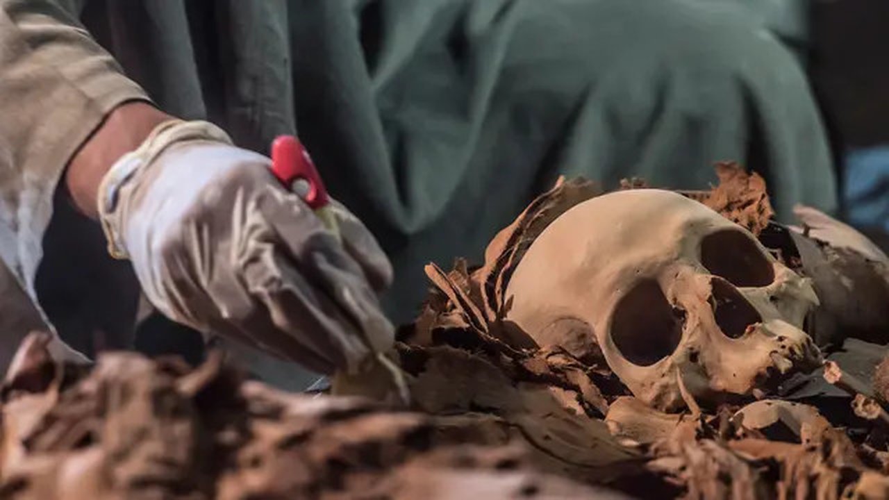 Arkeolog melakukan penelitian pada tengkorak yang ditemukan di sebuah makam kuno di kota Luxor, Mesir (9/9). Menurut Menteri Purbakala Mesir, mumi-mumi tersebut merupakan mumi pandai emas ker