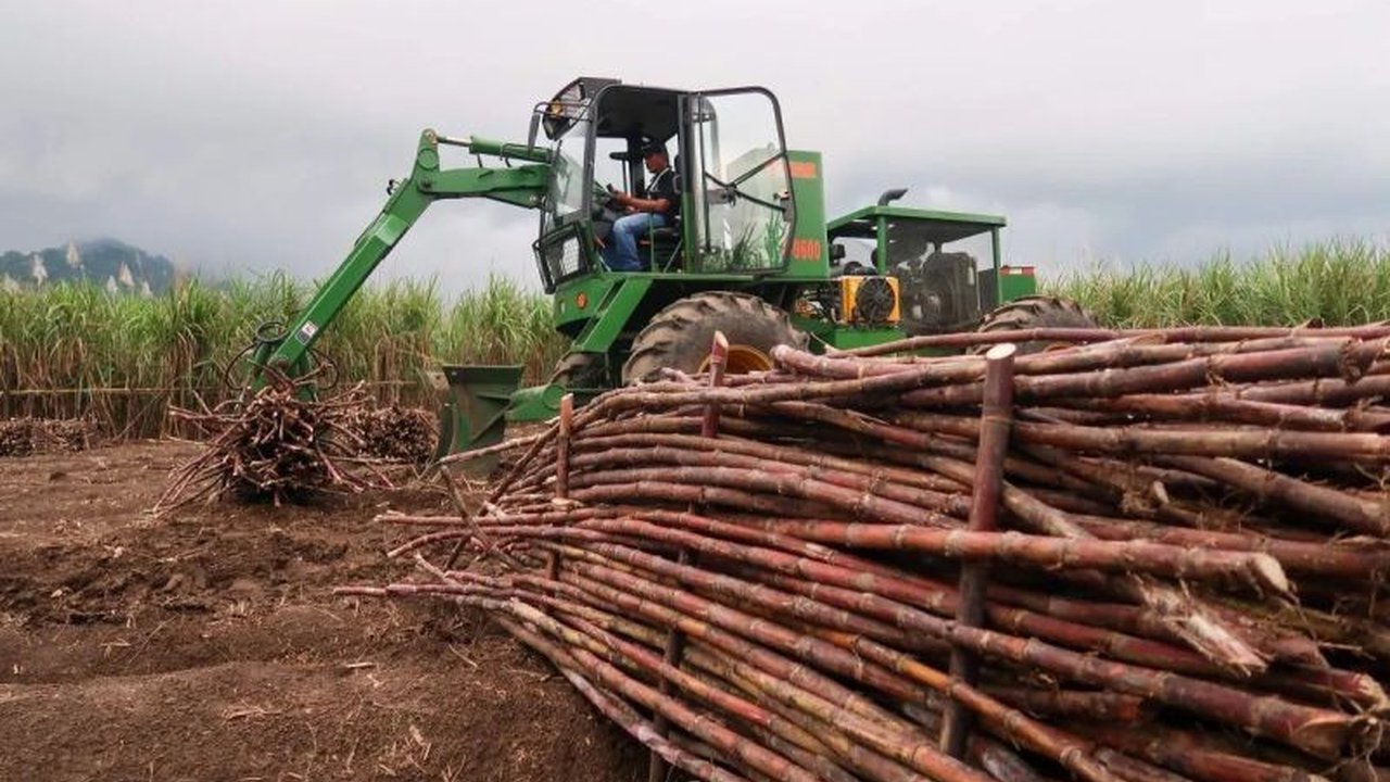 Asosiasi Petani Tebu Rakyat Indonesia (APTRI) mengapresiasi langkah PT Sinergi Gula Nusantara (SGN), Danantara, dan PT Pesona Inti Rasa (PIR) dalam Penyerapan Gula Petani, membawa angin segar bagi stabilisasi pasar dan kesejahteraan petani.