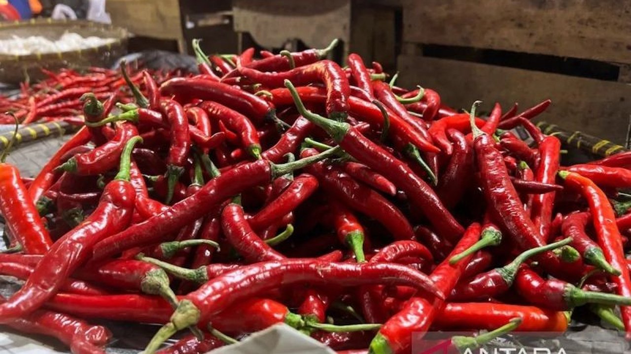 Kabar baik bagi konsumen! Mayoritas harga pangan turun signifikan, termasuk beras premium dan cabai rawit. Simak daftar lengkap komoditas yang mengalami penurunan harga.