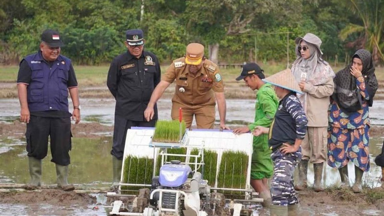 Pemerintah Kabupaten Simeulue siapkan alsintan modern dari Kementan RI untuk revolusi pertanian. Akankah langkah ini sukses wujudkan swasembada pangan di pulau terluar Aceh?